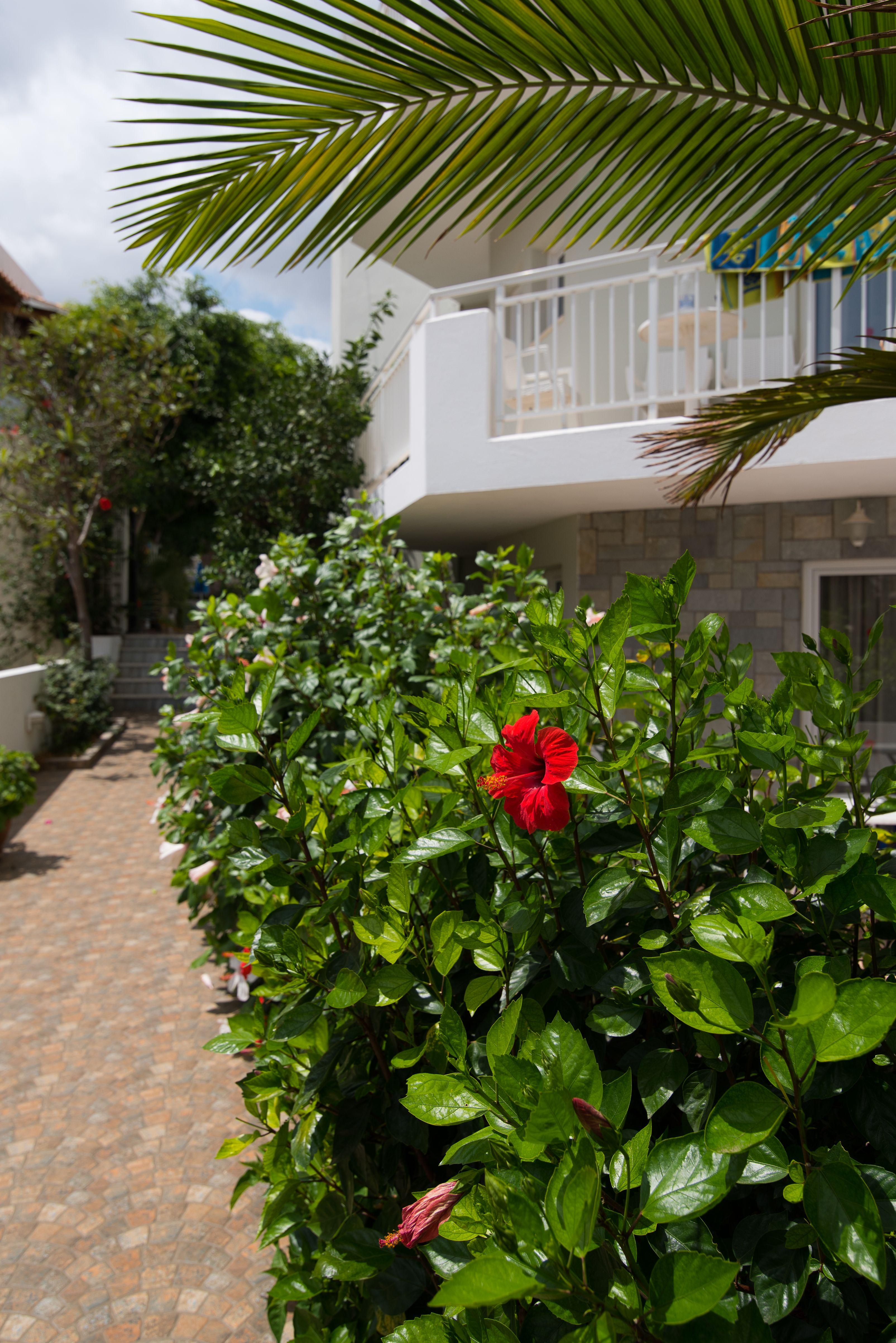 เมลิสซา อพาร์ตเมนต์ Aparthotel มาเลีย ภายนอก รูปภาพ